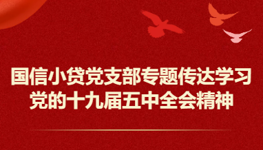 国信小贷党支部专题传达学习党的十九届五中全会精神